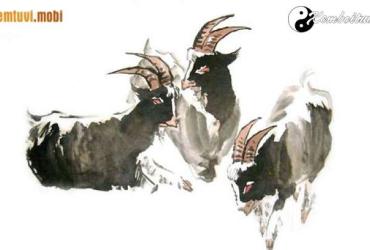 Tuổi Mùi hợp với tuổi nào, màu gì, nghề gì, hướng nào theo phong thủy