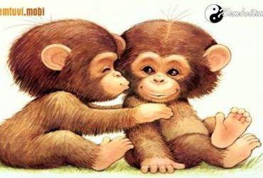 Tuổi Thân hợp với tuổi nào, màu gì, nghề gì, hướng nào theo phong thủy