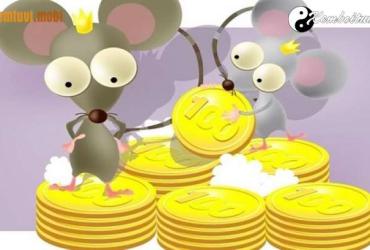 Tuổi Tý hợp với tuổi nào, màu gì, nghề gì, hướng nào theo phong thủy