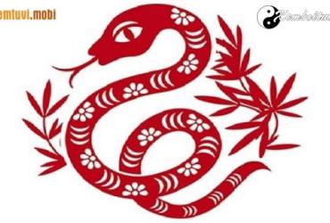 Tuổi Tỵ hợp với tuổi nào, nghề gì, màu gì, hướng nào theo phong thủy