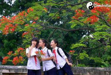 Bật Mí Ý Nghĩa Giấc Mơ Thấy Mình Đi Học - Điềm Tốt Hay Xấu?