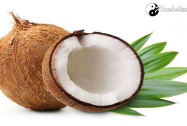 Bật Mí Ý Nghĩa Giấc Mơ Thấy Quả Dừa - Điềm Tốt Hay Xấu?
