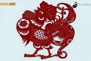 Xem phong thủy nhà bếp tuổi Dậu tài lộc an khang