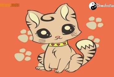 Xem phong thủy nhà bếp tuổi Mão may mắn và tốt lành