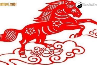Xem phong thủy nhà bếp tuổi Ngọ an khang và tài lộc