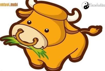 Xem phong thủy nhà bếp tuổi Sửu cho tài lộc đến nhà