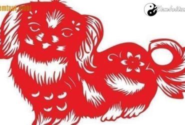 Xem phong thủy nhà bếp tuổi Tuất cho nhà vượng phát