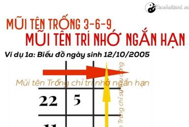 Bí mật mũi tên trống 3-6-9 Trí nhớ Tốt hay kém