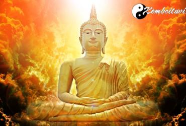 Di cung hoán số là gì
