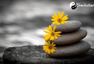 Học cách sống buông bỏ