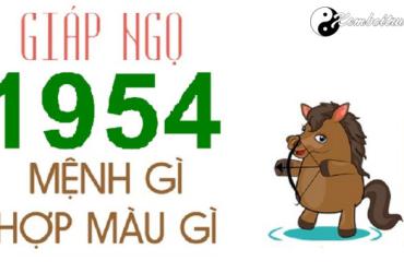 Năm 1954 là năm con gì? Sinh năm 1954 là mệnh gì? Tuổi gì?