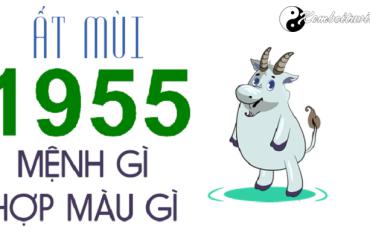 Năm 1955 là năm con gì? Sinh năm 1955 là mệnh gì? Tuổi gì?