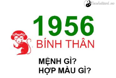 Năm 1956 là năm con gì? Sinh năm 1956 là mệnh gì? Tuổi gì?