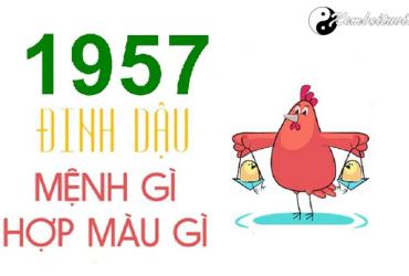 Năm 1957 là năm con gì? Sinh năm 1957 là mệnh gì? Tuổi gì?