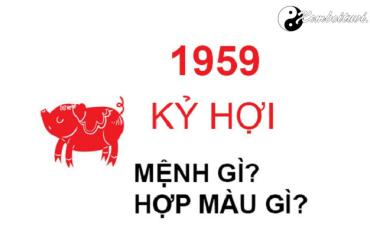 Năm 1959 là năm con gì? Sinh năm 1959 là mệnh gì? Tuổi gì?