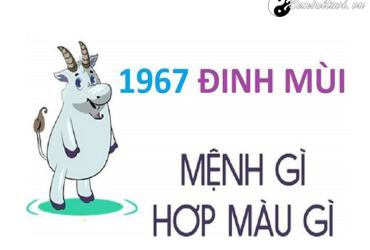 Năm 1967 là năm con gì? Sinh năm 1967 là mệnh gì? Tuổi gì?