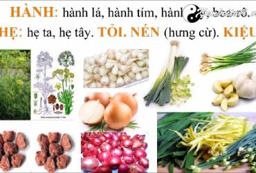 Ngũ vị tân là gì?