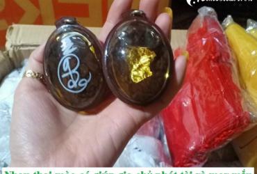 Nhau thai mèo là gì? Có giúp gia chủ phát tài và may mắn