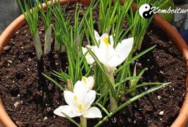 Những dấu hiệu nhận biết bạn bị chơi bùa ngải?