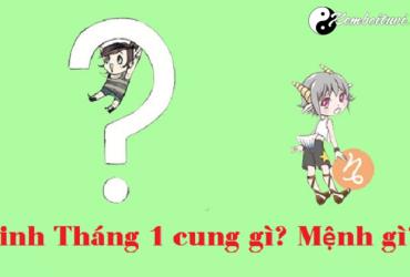 Sinh tháng 1 là cung gì
