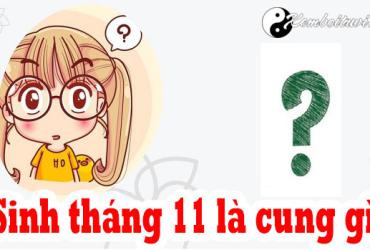 Sinh tháng 11 là cung gì