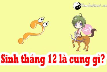 Sinh tháng 12 là cung gì