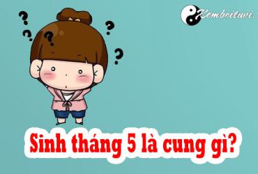 Sinh tháng 5 là cung gì