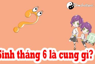 Sinh tháng 6 là cung gì