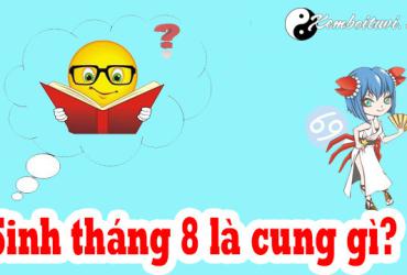 Sinh tháng 8 là cung gì