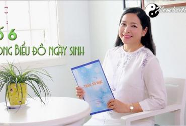 Bí Ẩn Số 6: Hé Lộ Cá Tính Và Vận Mệnh Qua Biểu Đồ Ngày Sinh