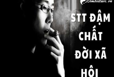 Stt chất cực ngầu, khó đỡ và thấm độc lạ