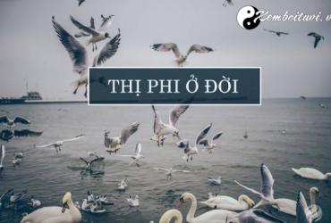 Thị Phi Là Gì? Giải Mã Hai Chữ Thị Phi Trong Cuộc Sống