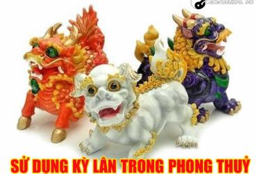 Tổng hợp 9 điều thú vị về Kỳ Lân mà bạn chưa biết?