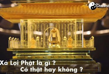 Bí mật về xá lợi phật