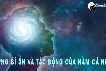 Thần Số Học và Chu Kỳ Năm Cá Nhân: Mở Khóa Bí Mật Vận Mệnh và Năng Lượng Sống