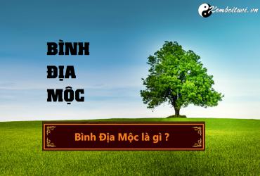 Mệnh Bình Địa Mộc nghĩa là gì?