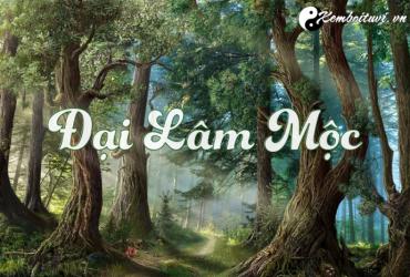 Mệnh Đại Lâm Mộc có nghĩa là gì?