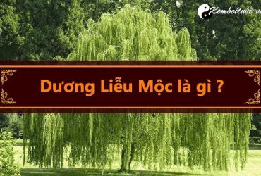 Mệnh Dương Liễu Mộc là gì?