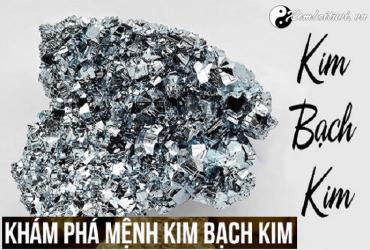Mệnh Kim Bạch Kim là gì?