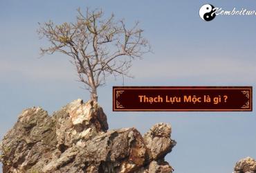 Mệnh Thạch Lựu Mộc có nghĩa là gì?