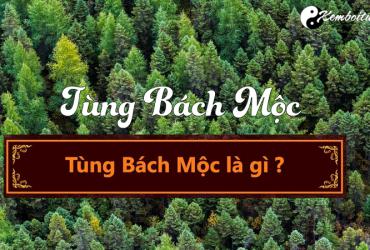 Mệnh Tùng Bách Mộc nghĩa là gì?
