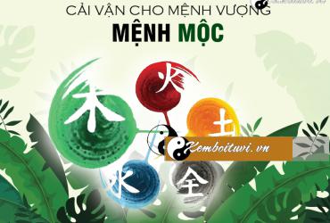 Phong Thủy Cải Vận Cho Bát Tự Vượng Mộc