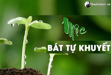 Cải vận cho người khuyết Mộc như thế nào?