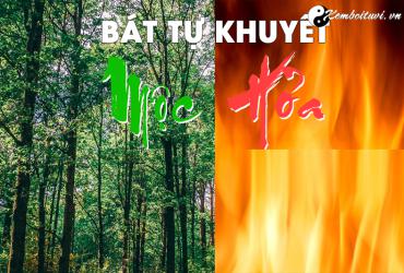 Cải vận dành cho mệnh khuyết Mộc Hỏa