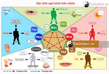 Bát tự mệnh vượng là gì?