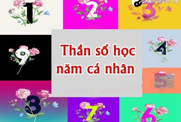 Tìm hiểu Năm cá nhân và Chu kỳ năm cá nhân có ảnh hưởng đến cuộc sống