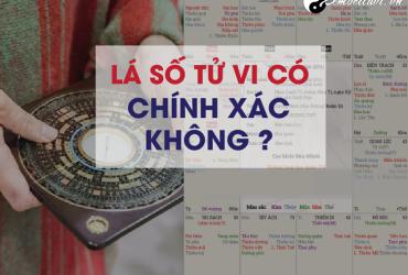 Tổng hợp kinh nghiệm xem lá số tử vi