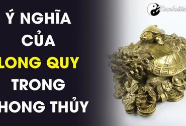 Bí Mật Về Long Quy: Hóa Giải Vận Hạn, Kích Hoạt Tài Vận Thăng Hoa
