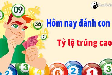 Hôm nay đánh con gì đánh số mấy may mắn