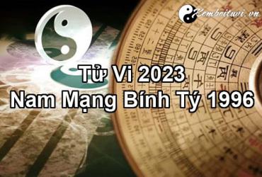 Xem bói tử vi năm Quý Mão 2023 nam Bính Tý 1996 - Luận giải chi tiết
